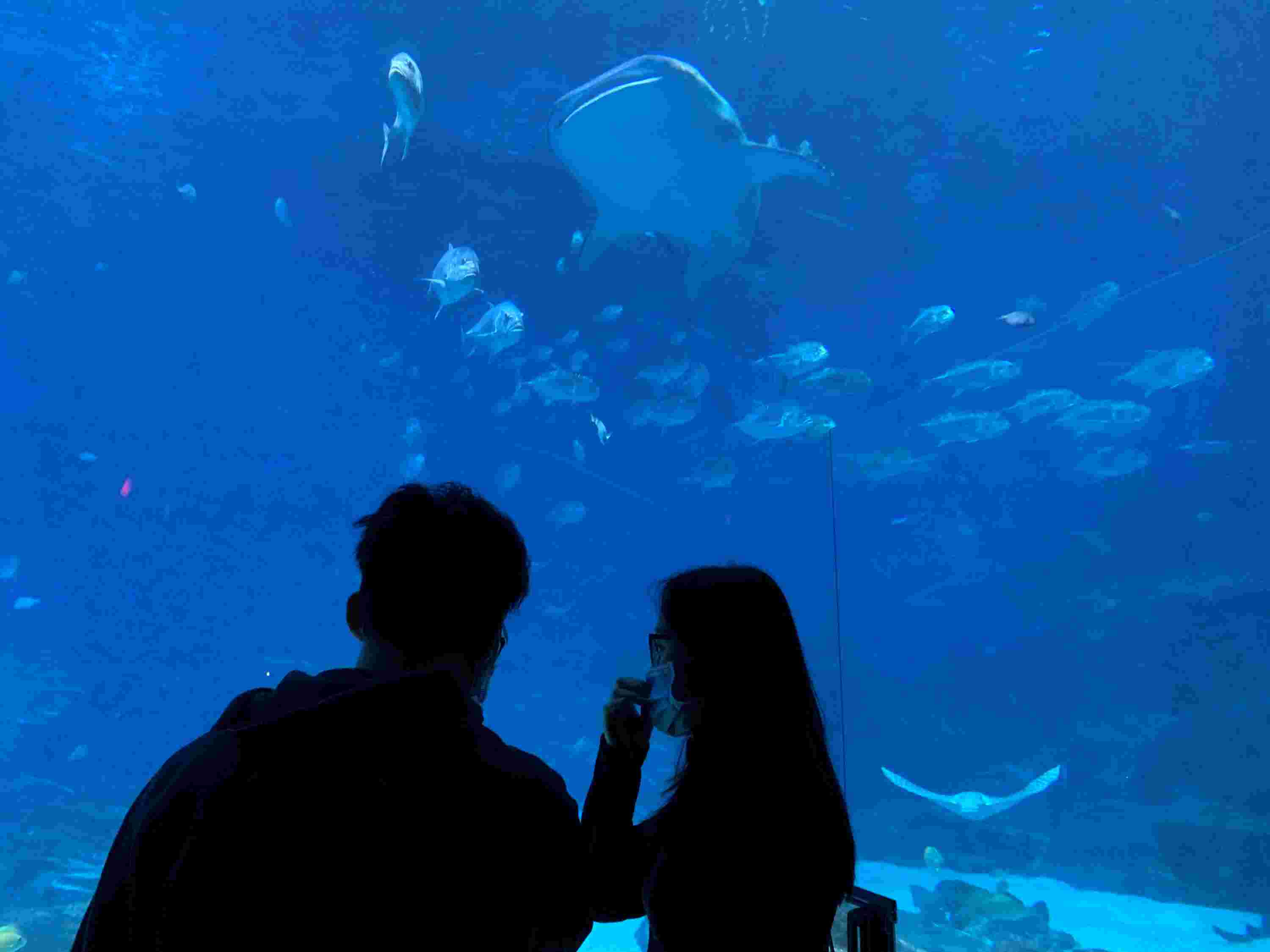 DJ Doherty BS Computer Engineering'24 Binghamton University